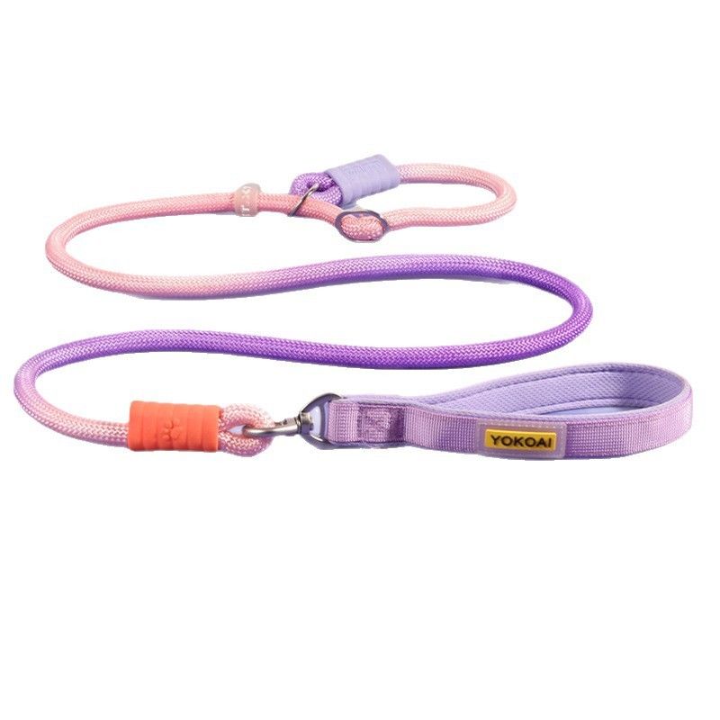 Nylon Anti-Pull P-Leash for Medium to Large Dogs