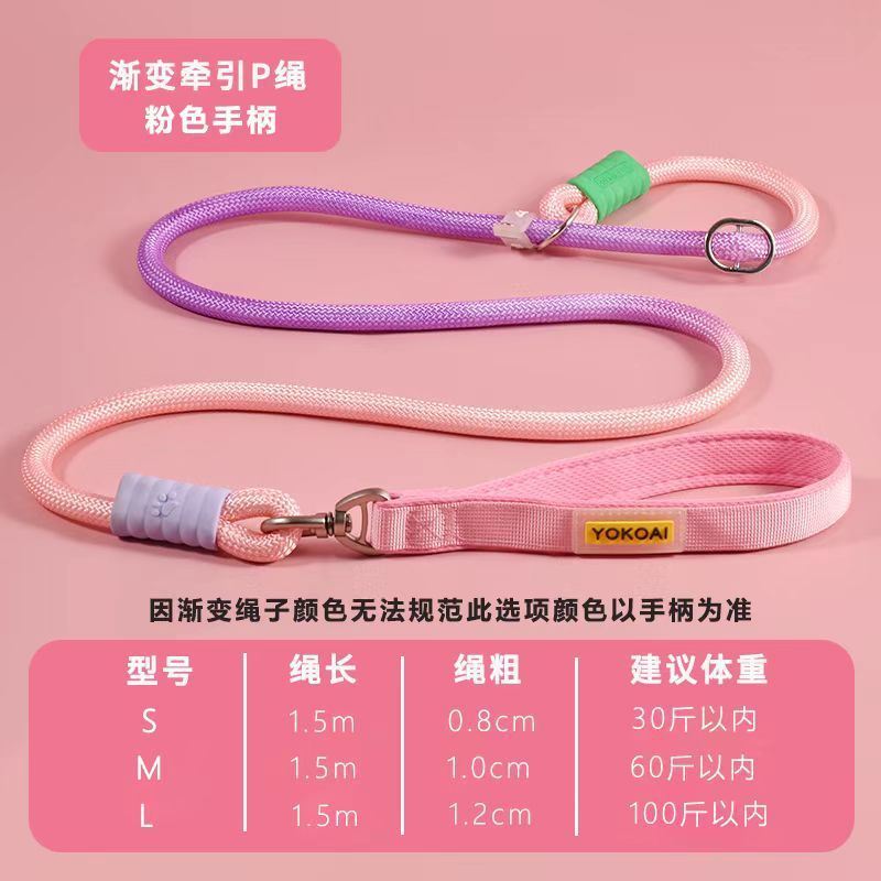 Nylon Anti-Pull P-Leash for Medium to Large Dogs