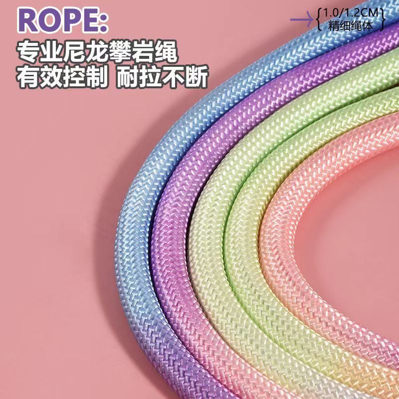 Nylon Anti-Pull P-Leash for Medium to Large Dogs