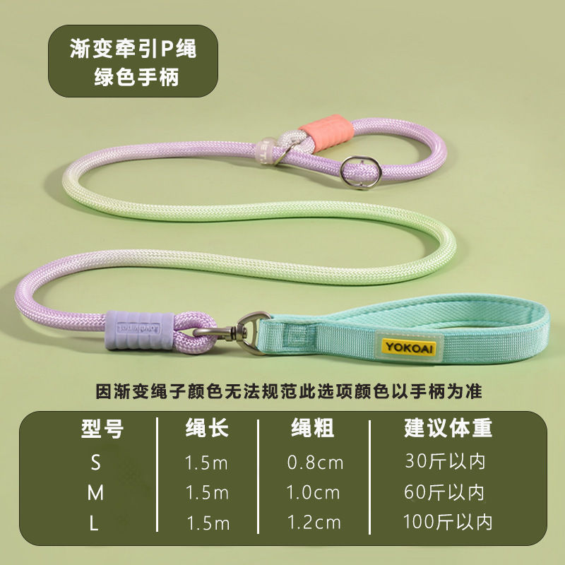 Nylon Anti-Pull P-Leash for Medium to Large Dogs