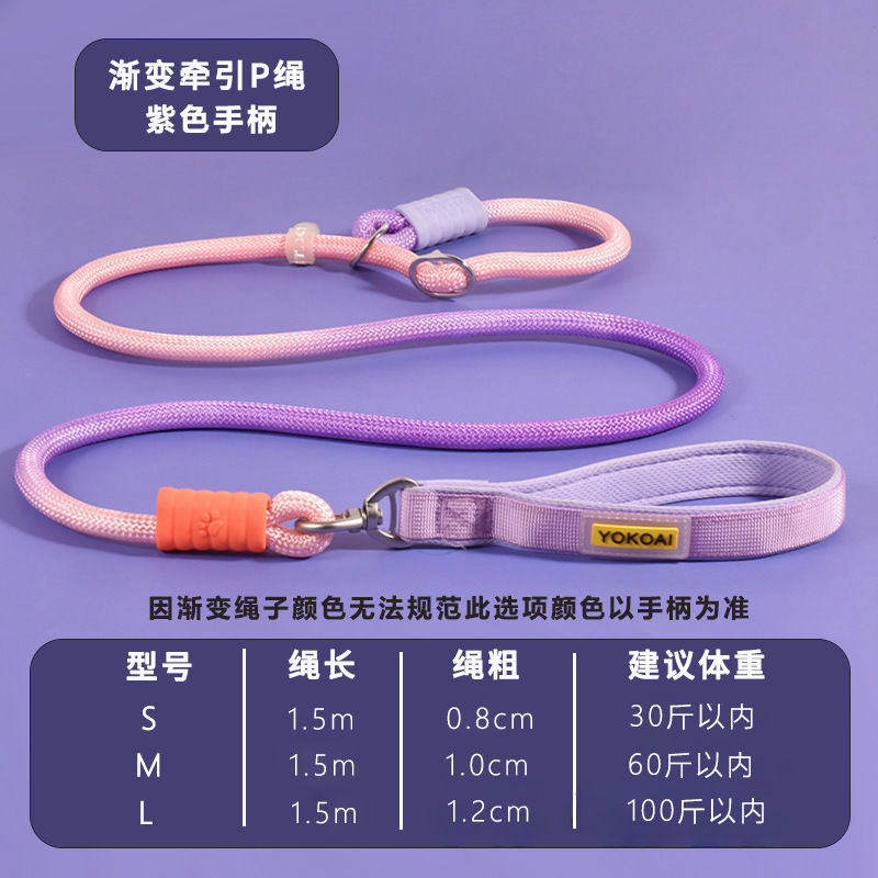 Nylon Anti-Pull P-Leash for Medium to Large Dogs