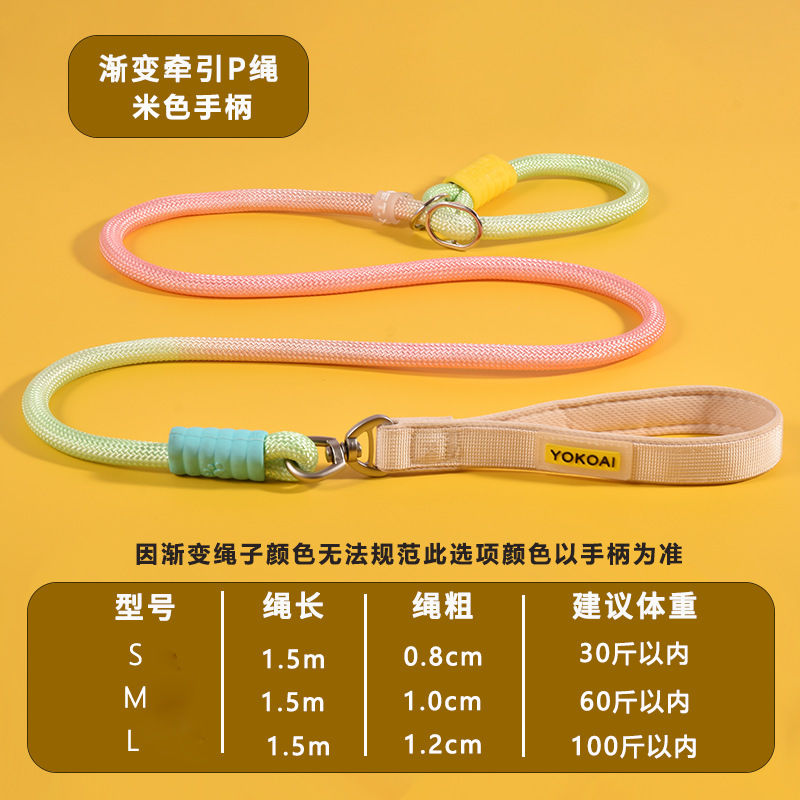 Nylon Anti-Pull P-Leash for Medium to Large Dogs