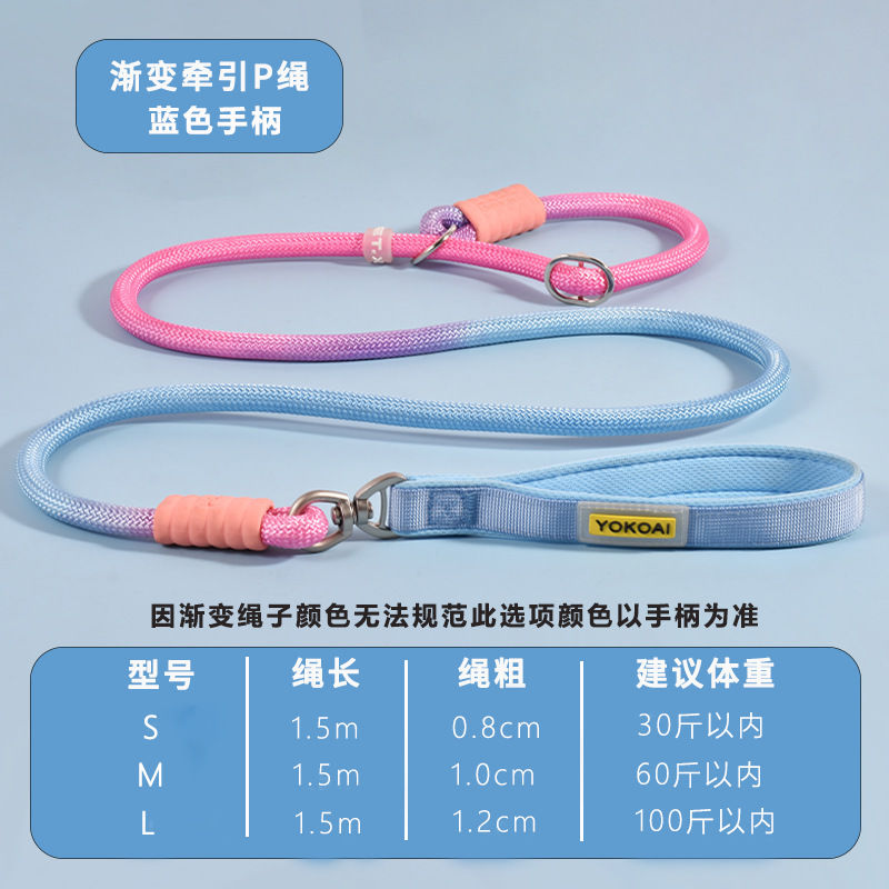 Nylon Anti-Pull P-Leash for Medium to Large Dogs