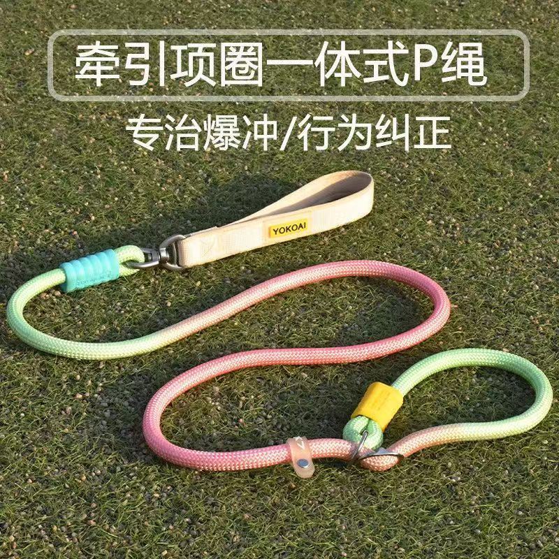 Nylon Anti-Pull P-Leash for Medium to Large Dogs